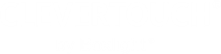 Logo Clevertouch