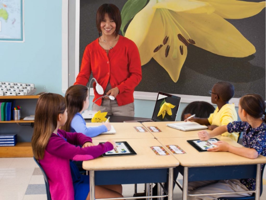 ¿Cómo promover la igualdad en la educación?