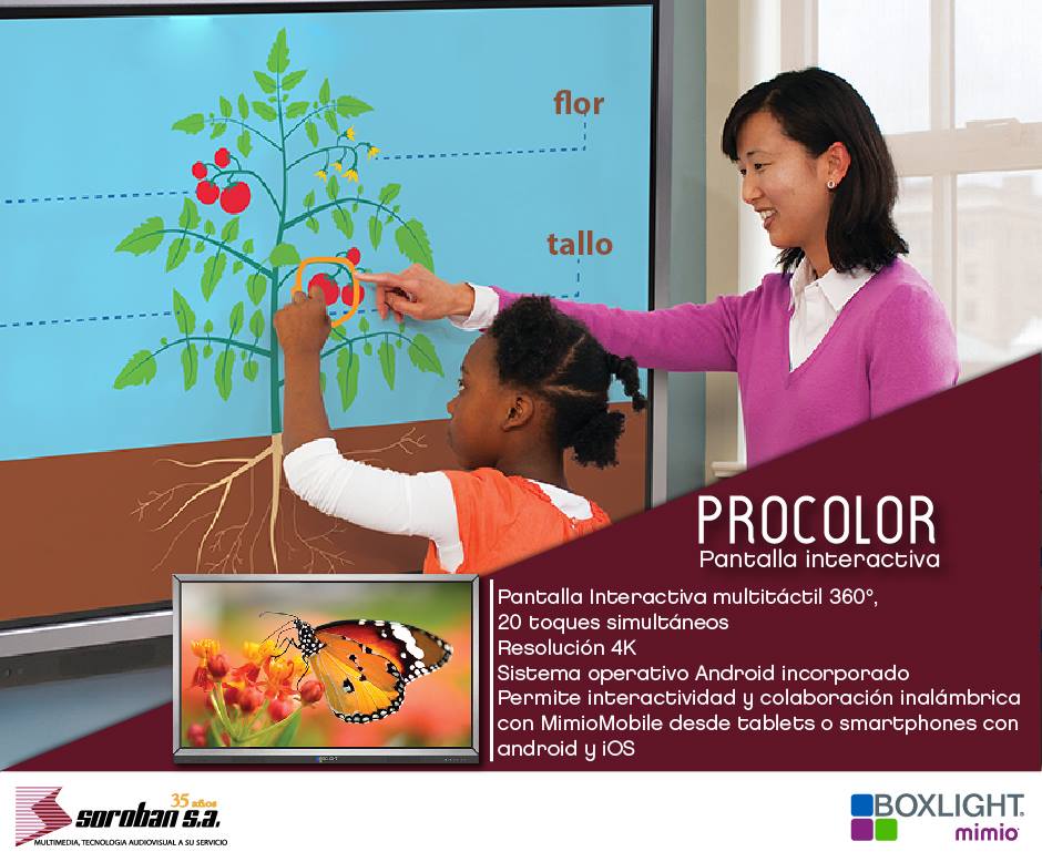 Pantalla Interactiva para el sector educativo de 65"