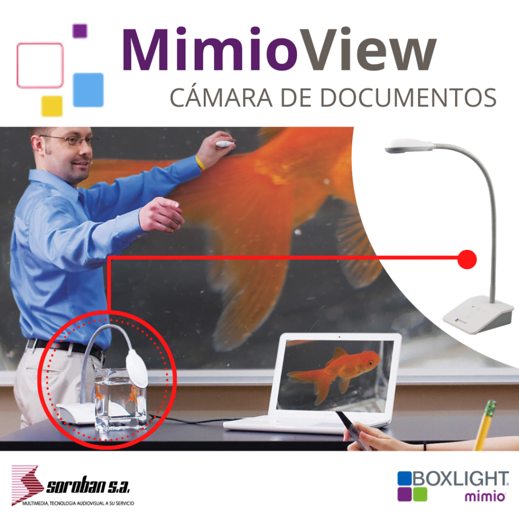 Crea experiencias de aprendizaje únicas apoyadas en la Tecnología